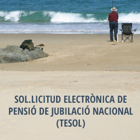 solicitud.electronica.pension